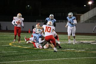 November 8 2019 IMG_9070464